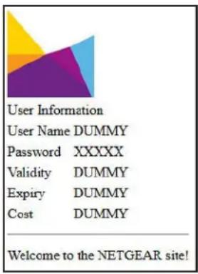 User Information User Name DUMMY Password XXXXX Validity DUMMY Expiry DUMMY Cost DUMMY Welcome to the NETGEAR site!