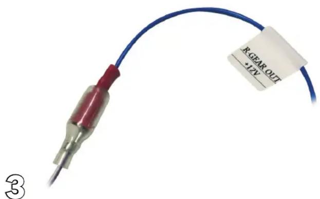 R-GEAR OUT *12V