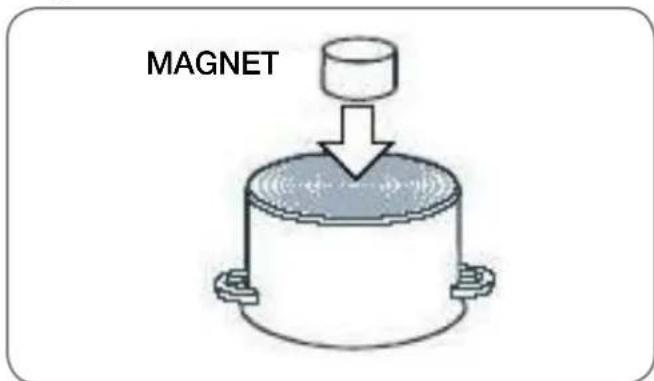 MAGNET