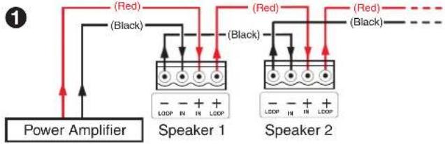 Extron SF 3C LP - Wiring Multiple Speakers Using Loop-through - 1
