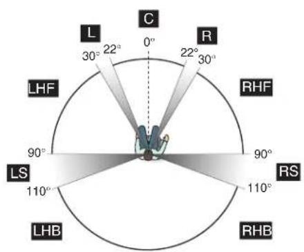 L 30° 22° C 0° R 22° 30° LHF RHF 90° RS 110° LS 110° LHB RHB