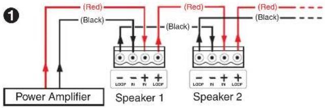 Extron SF 26CT - Wiring Multiple Speakers Using Loop-through - 1