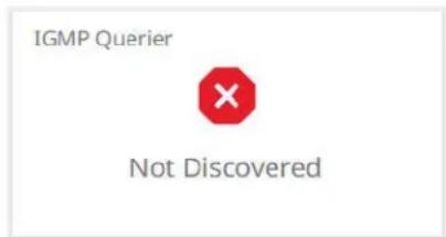 IGMP Querier × Not Discovered