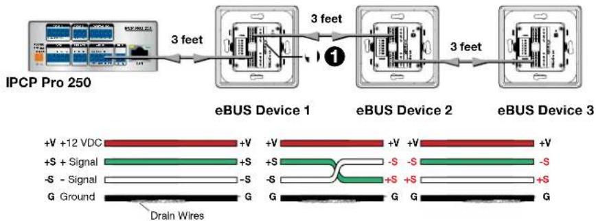 Extron EBP 200 - Connectors Are Not Wired Correctly - 1