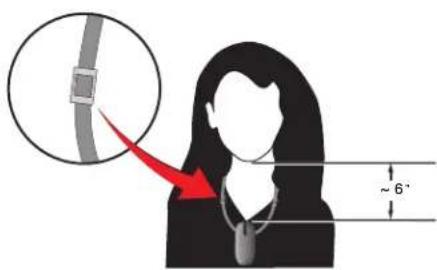 Diagram illustrating a person's shoulder and neck adjustment with a magnified view of the belt and a 6-inch measurement annotation.