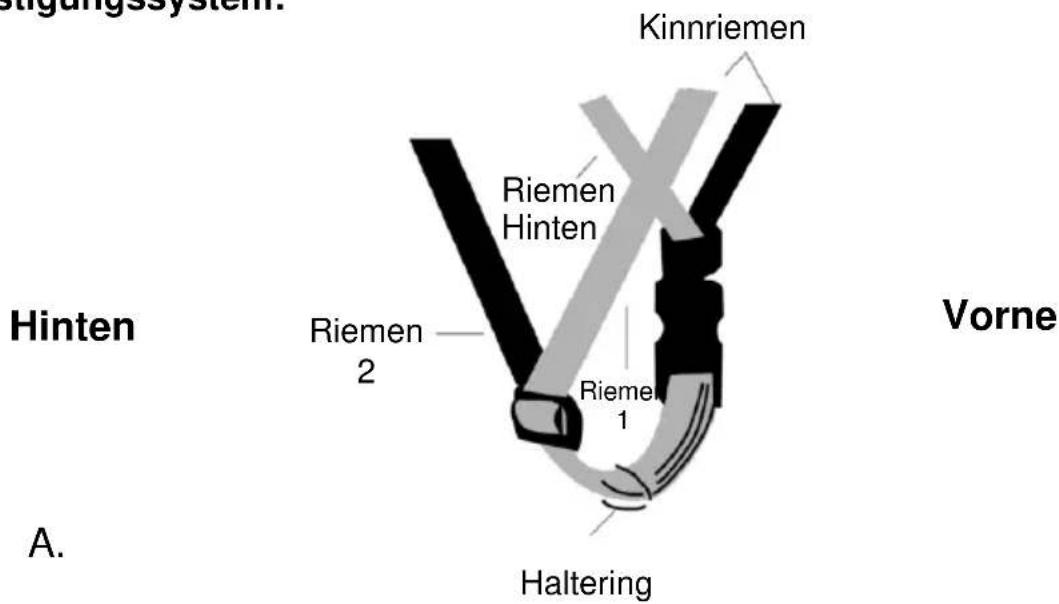 Kinnriemen Riemen Hinten Riemen 2 Rieme 1 Vorne Haltering Hinten A.