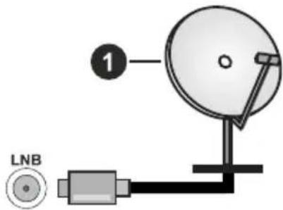 1 LNB