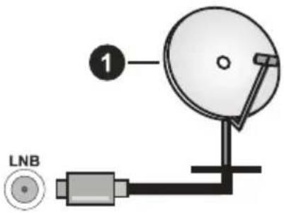 1 LNB