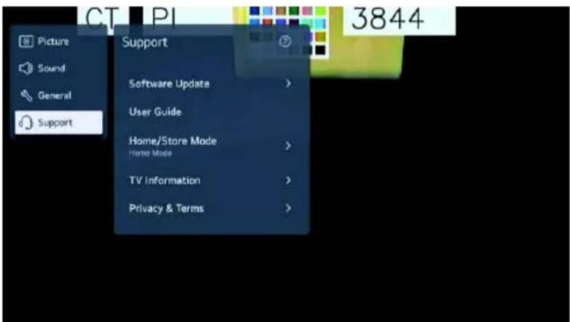 CTI PI 3844 Picture Sound General Support Support Software Update > User Guide Home/Store Mode Home Mode > TV Information > Privacy & Terms >