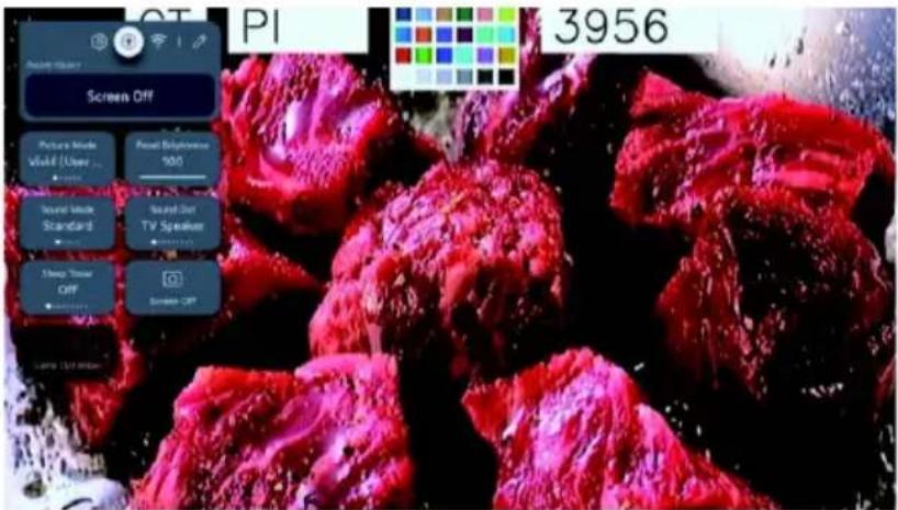 CT PI 3956 Screen Off Picture Mode World (User) Sound Biphoneme 100 Sound Mode Standard Sound Bar TV Speaker Sleep Tower OFF Screen OFF