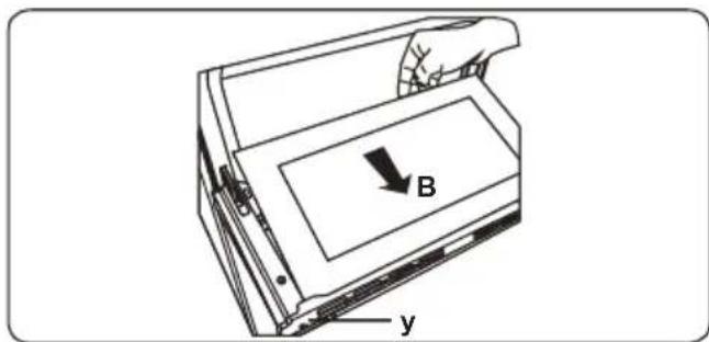 B y