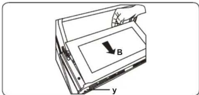 B y