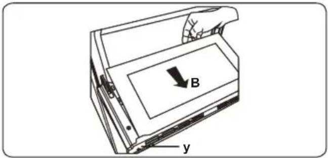 B y