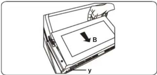 B y
