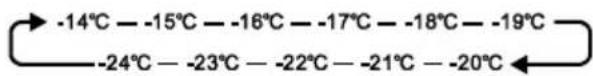 CEEM FF 155 - TEMP°C - 1
