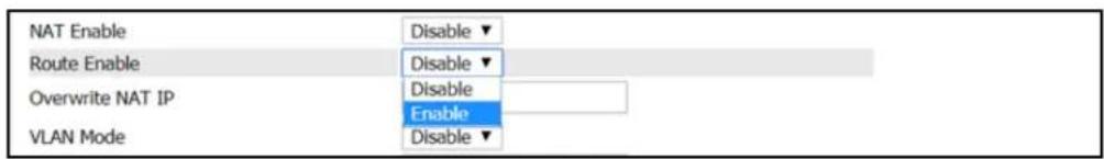 NAT Enable Disable ▼ Route Enable Disable ▼ Overwrite NAT IP Disable Enable VLAN Mode Disable ▼