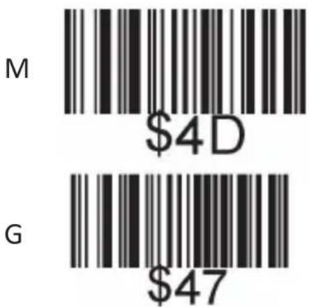 M $4D G $47