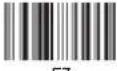 Aplic 303480 - Instructions on the disposal of batteries - 65