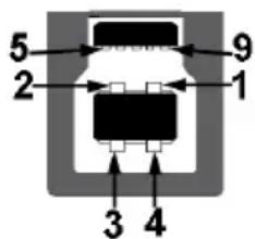 5 2 9 1 3 4