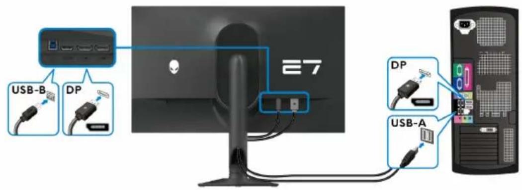 USB-B DP E7 DP USB-A
