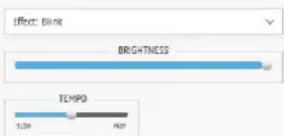 Effect: Blink BRIGHTNESS TEMP0 SLOK HLOT