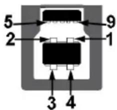 5 2 9 1 3 4