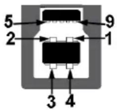 5 2 9 1 3 4