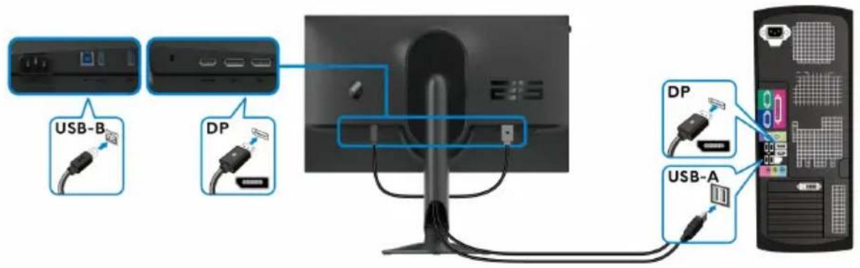 USB-B DP DP USB-A