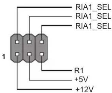 RIA1_SEL RIA1_SEL RIA1_SEL R1 +5V +12V