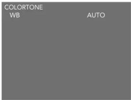 COLORTONE WB AUTO