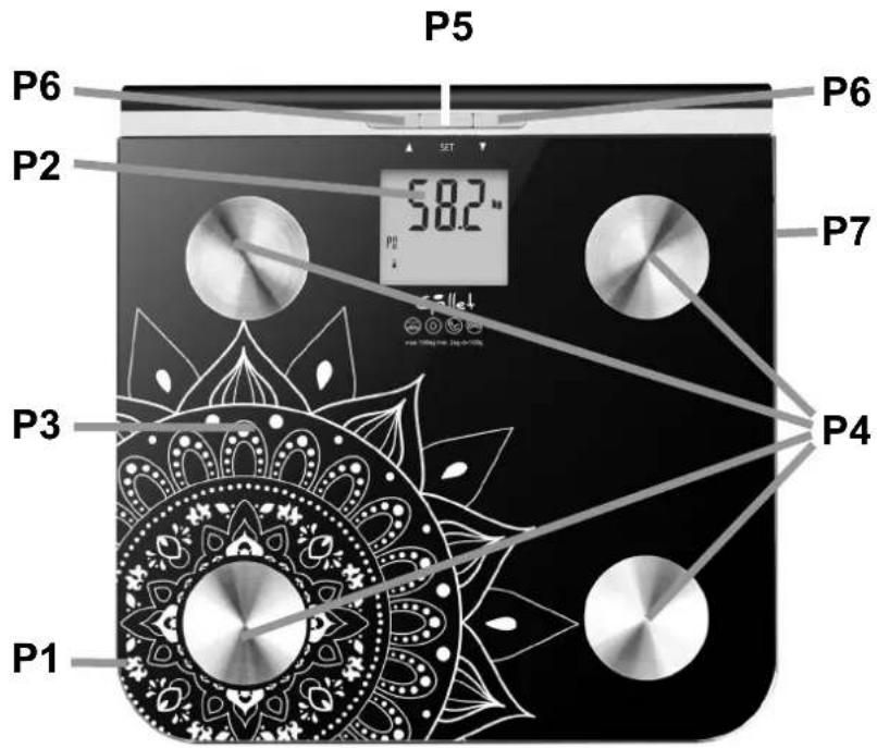 P5 P6 P2 SET 58.2 ° P2 P6 P7 P3 P4 P1
