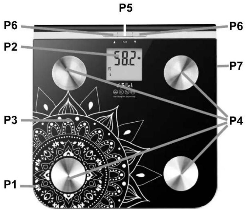 P5 P6 P2 58.2 mm P3 P1 P4 P7 P6 SET