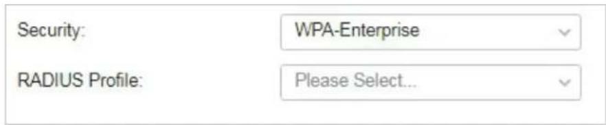 Security: WPA-Enterprise RADIUS Profile: Please Select...