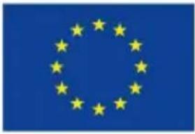 European Union flag with twelve yellow stars on a blue background (no text or symbols)