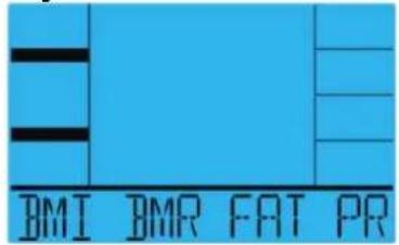 BMI BMR FAT PR