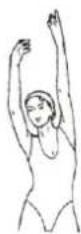 HMS Premium MP6590 - SHOULDER LIFTS - 1