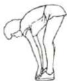 HMS Premium MP6590 - INNER THIGH STRETCH - 1