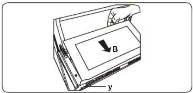 B y