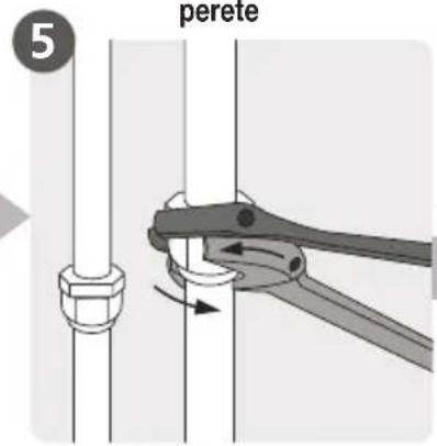 5 perete