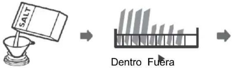 SALT Dentro Fuera