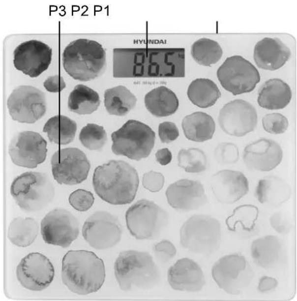 P3 P2 P1 HYUNDAI 86.5 HIT: 70 mg/100g
