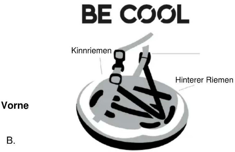 BE COOL Kinnriemen Hinterer Riemen Vorne B.