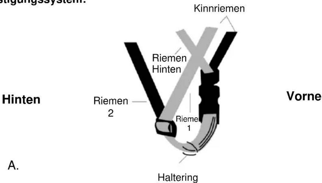 Kinnriemen Riemen Hinten Riemen 2 Rieme 1 Vorne Haltering Hinten A.