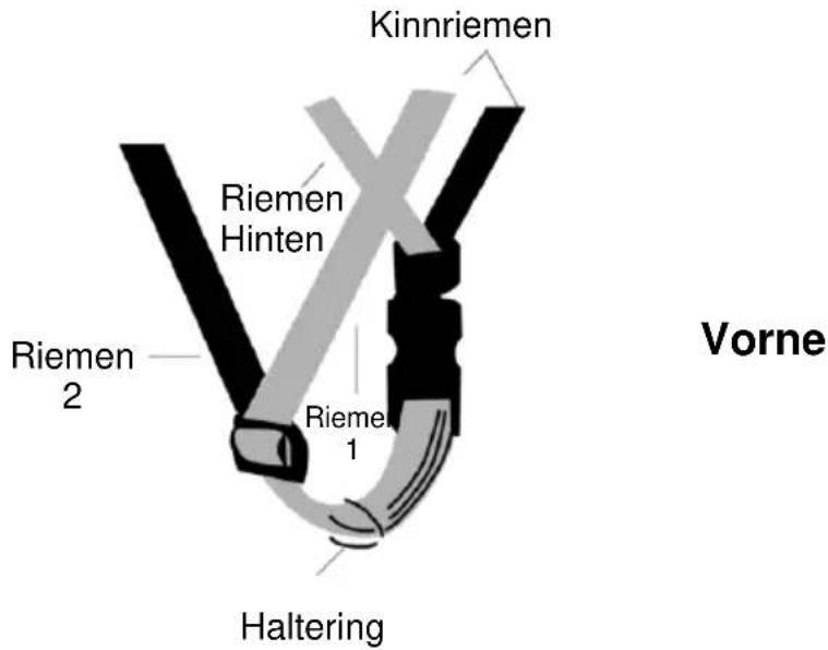 Kinnriemen Riemen Hinten Riemen 2 Riemel 1 Vorne Haltering