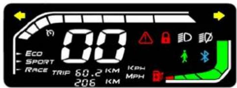 00 Eco SPORT RACE TRIP 60.2 KM 206 KM KPH MPH