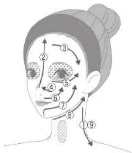 Anatomical diagram of human face with numbered labels indicating specific regions or zones for therapeutic analysis.