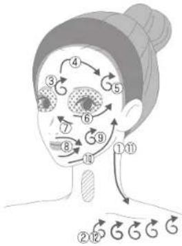 Diagram of human face with numbered anatomical regions and directional arrows indicating movement or movement paths.