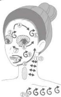 Anatomical diagram of human face with numbered labels indicating various facial regions or zones.