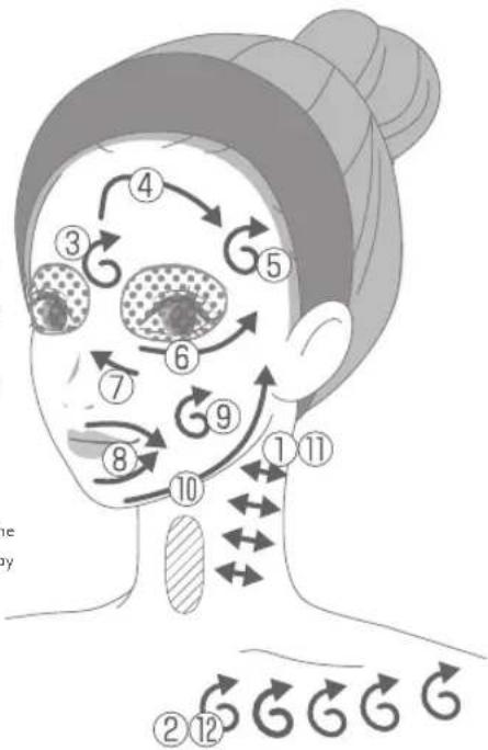 Anatomical diagram of a human head with numbered labels indicating various facial zones or regions, likely for therapeutic or medical advice.
