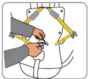 Caretero Azure I-Size - Demontaż szelek / Removing the harness / Abnehmen des Sicherheitsgurts - 2